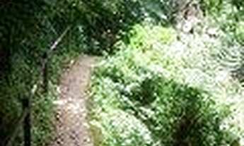 Imagem 3: Terreno à venda, HORTO FLORESTAL - UBATUBA/SP