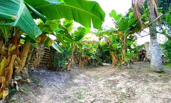 Imagem 4: Fazenda/Sítio/Chácara para venda com 150 metros quadrados com 2 quartos