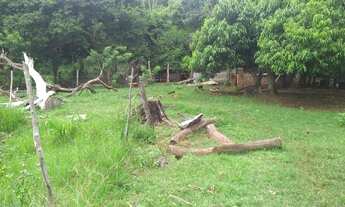 Imagem 5: Chácara de 8 hect. Boa de água