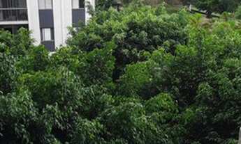 Imagem 5: Apartamento para locação Residencial Solar de Amigos