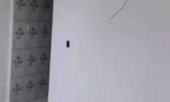 Imagem 3: Casa com 3 quartos. Não tem mofo nada casa