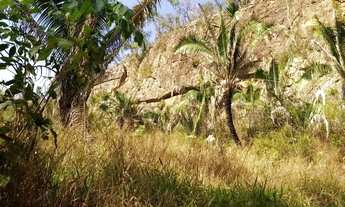 Imagem 6: Fazenda 78 Alqueires