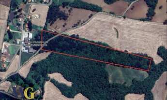 Imagem 2: Chácara para Venda em Campo Largo, Fazendinha