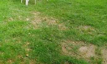 Imagem 3: Quarto Individual a 5mnts a pé da UFSC-Trindade