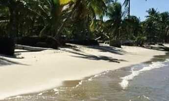 Imagem 3: Vendo Terreno Ilha do Contrato ( Igrapiuna Ba