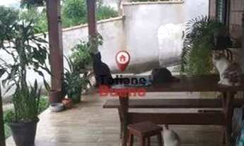 Imagem 2: Chácara em Taubaté, 03 quartos