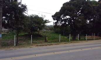 Imagem: Vendo ou troco terreno na Rod José Sete