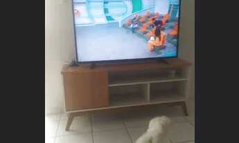 Imagem 3: Ecopark 4 Mobíliado