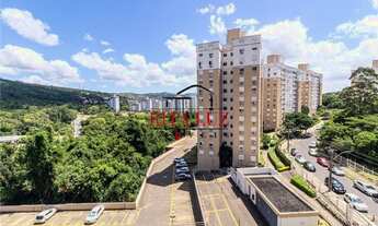 Imagem: PORTO ALEGRE - Padrão - Jardim Carvalho