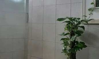 Imagem 2: Rua Hermenegildo Barros / Candido Mendes Conjugadão Lindo Vistao - reformadissimo semi mo