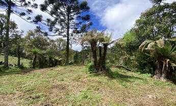Imagem 6: Urubici - Terreno