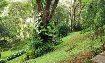 Imagem 4: Sítio a venda em Persegueiros