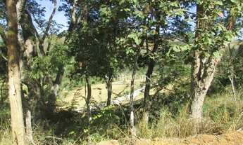 Imagem 2: Terreno à venda, 2133 m² por R$ 250.000 - Secretário - Petrópolis/RJ