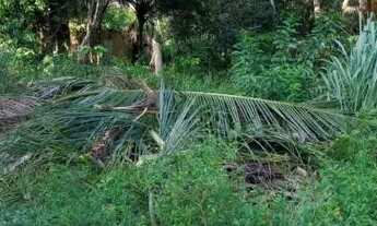 Imagem 3: Vendo sítio em Simões Filho Bahia