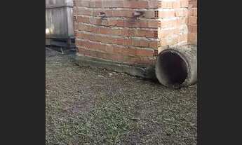 Imagem 4: Vende se terreno com casa em construção no 40 hras