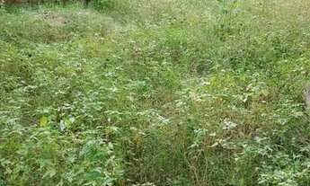 Imagem 4: Vendo casa em Curuçá-PA