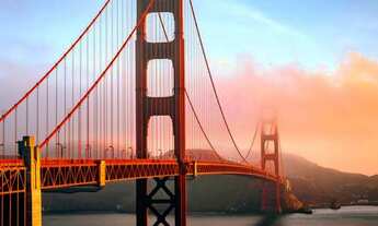 Imagem: Procuro para alugar em Campo Largo!