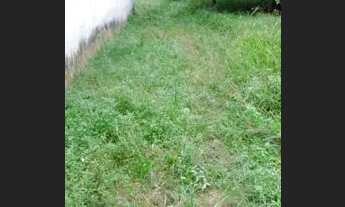 Imagem 5: Vendo casa em Curuçá-PA