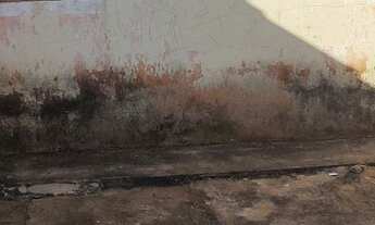 Imagem 3: Casa Casa com 2 dormitórios