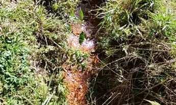 Imagem 4: Creio ser essa que você procura!!! Chácara com área total de 5.855 m²