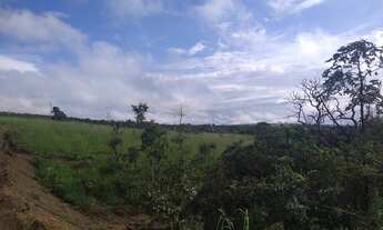 Imagem 6: Chácara de 20.000 metros quadrados Área Rural do Gama - ponte alta - região de santo anton