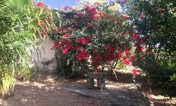 Imagem 5: Vende-se Uma chácara No Prive das oliveiras