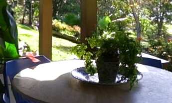 Imagem 6: Sobrado para 2 famílias