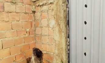 Imagem: Itaporanga d x27 ajuda em Camaçari Mirim