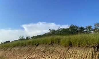 Imagem 4: Lote/Terreno para venda possui 1000 metros quadrados em Cidade Nova Jacareí - Jacareí - SP