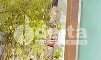 Imagem: Casa residencial disponível para venda