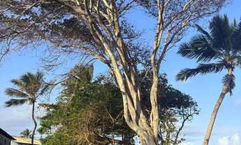 Imagem 5: Praia do Forte Pé na areia