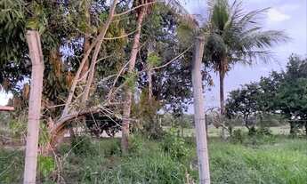 Imagem: Vendo Lote imperdível