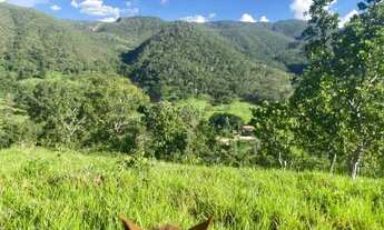 Imagem 5: Fazenda com 80 Alqueires em Niquelândia/GO