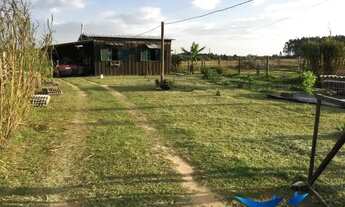 Imagem 2: Velleda oferece magnífico sítio em condomínio fechado em Águas Claras, com frutíferas, bar