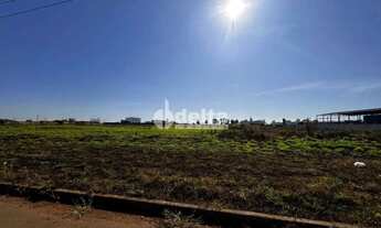 Imagem 3: Área com 1.000m² disponível para venda no bairro Centro Empresarial Leste em Uberlândia-MG