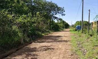 Imagem 3: Chácara 2.520 m² - 10 km de Palmas - Energia e Água - Oportunidade!