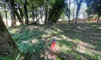 Imagem 5: Terreno São Virgílio Caxias do Sul