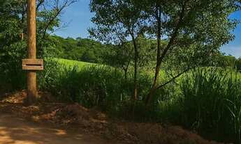 Imagem 2: Lote Guarapari, entrada R$ 5.000 + parcelas de R$ 2.000/mês, SOMENTE ESCRITURADO, TROCO