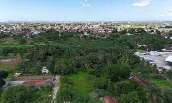 Imagem 7: Terreno com 10.000 m2, BR 101, Zona Norte