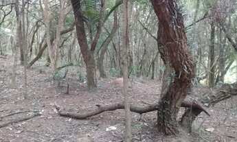 Imagem 2: Terreno à venda, 1200 m² - Granja Viana II - Cotia/SP