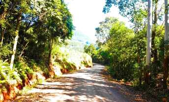 Imagem 4: Sítio / Chácara para Venda em Nova Petrópolis, Arroio Paixão