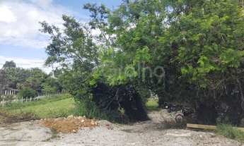 Imagem 7: Terreno de 2.500m² no Saco Grande, Florianópolis