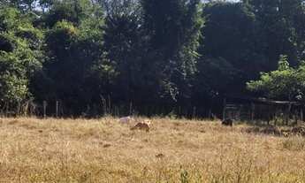 Imagem 2: Chácara à venda no bairro Sítios de Recreio dos Bandeirantes em Goiânia/GO