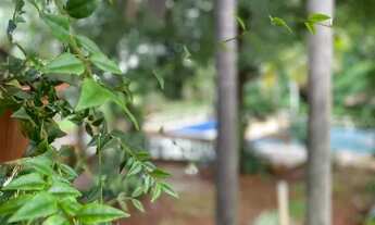 Imagem 3: Chácara em Jataí - 5000m2 - Casa 3 quartos, Quiosques, Piscina , Hortas e muito lazer