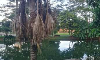 Imagem 5: Lote setor Jaó vista definitiva pra mata