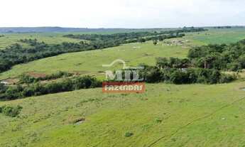 Imagem 2: Chácara de 15,5 alqueires (75 hectares) em Parauna - GO