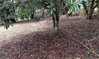 Imagem 7: Terreno em Monteiro Lobato Alpes do Buquira