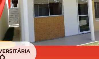 Imagem: Dracenas é um género botânico pertencente