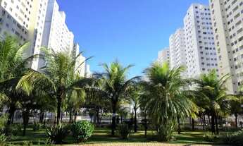 Imagem 4: Alugo excelente apto comp. armarios no Cond. Borges Landeuro Tropicale