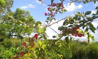 Imagem 4: CAUE IMÓVEIS VENDE Excelente Propriedade em Viamão-RS - Refúgio de Luxo!